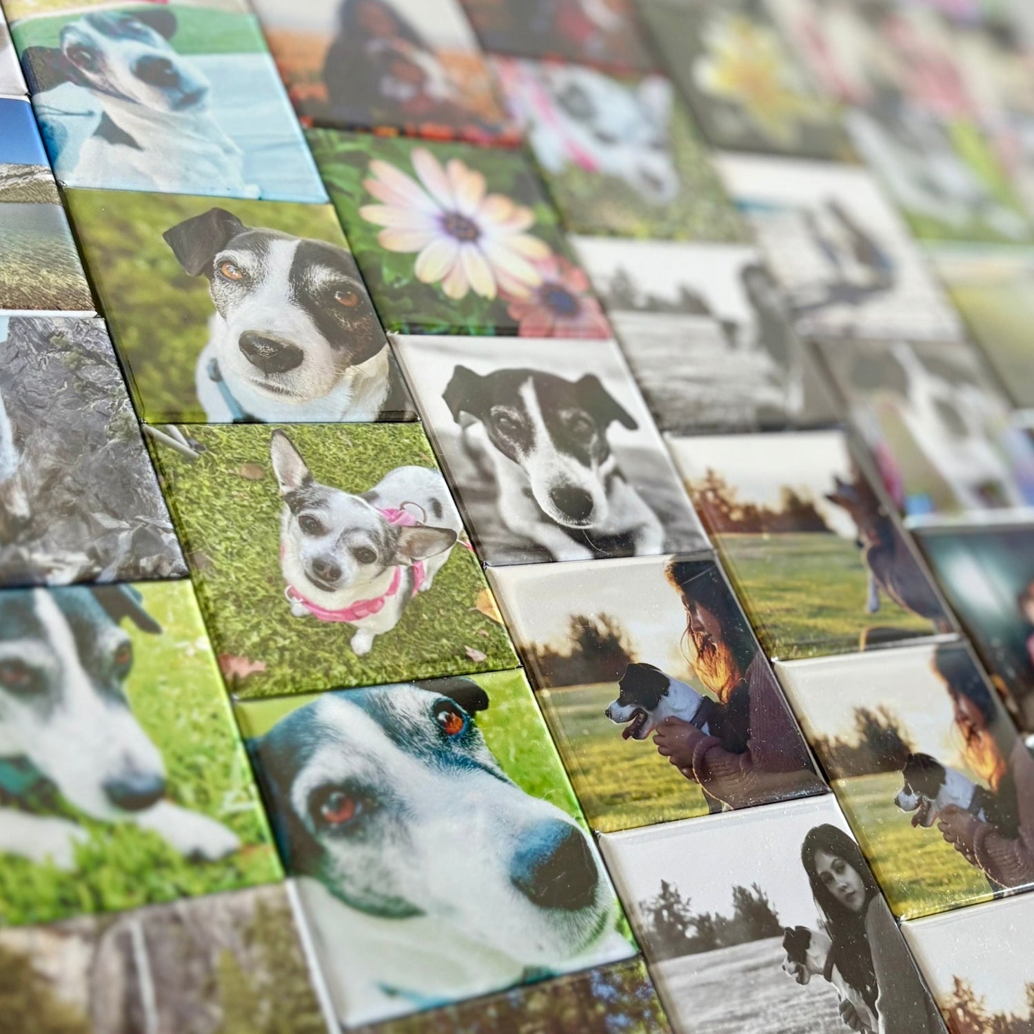 Custom Photo Magnets
