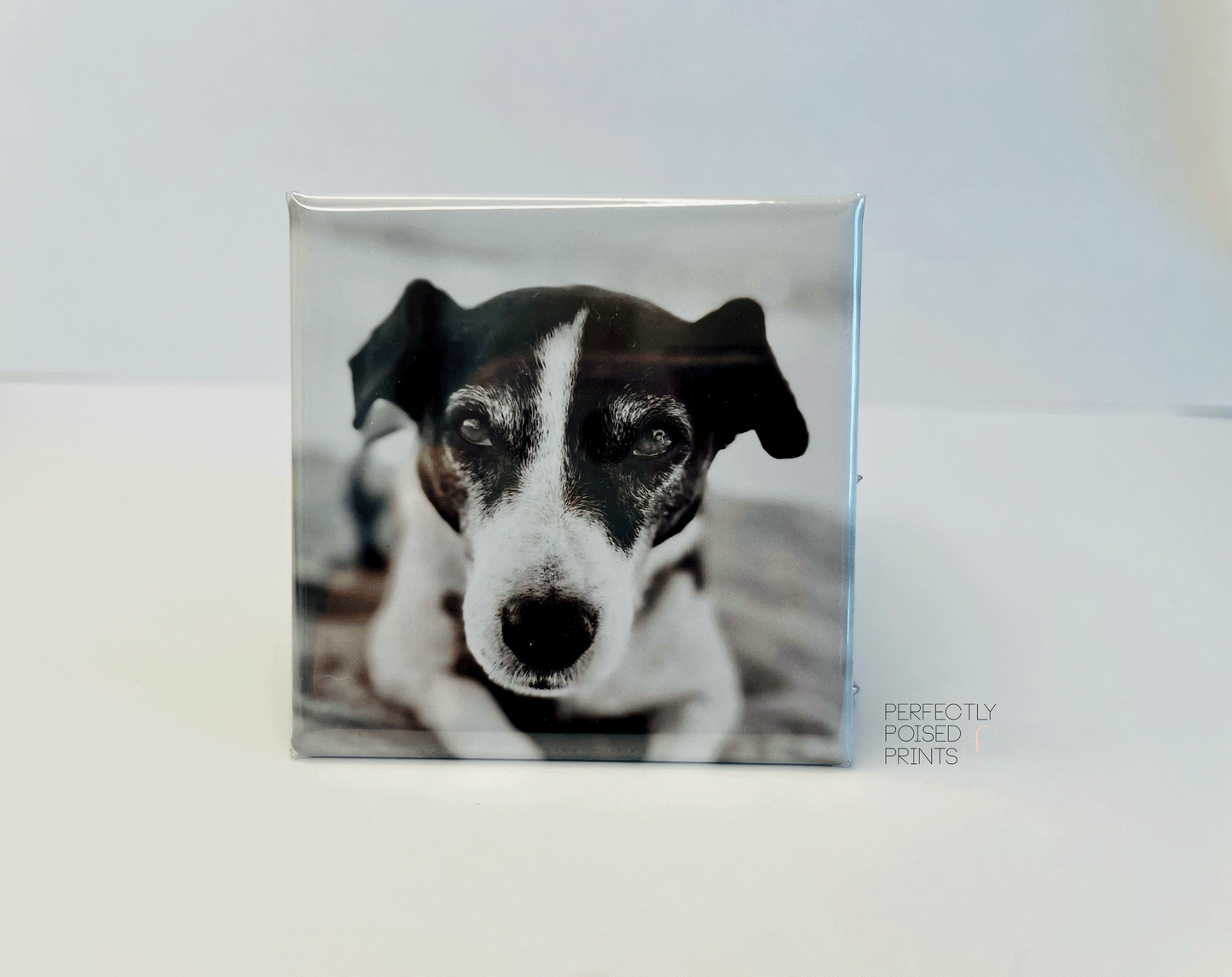 Custom Photo Magnets 2"x2" - Set of 9