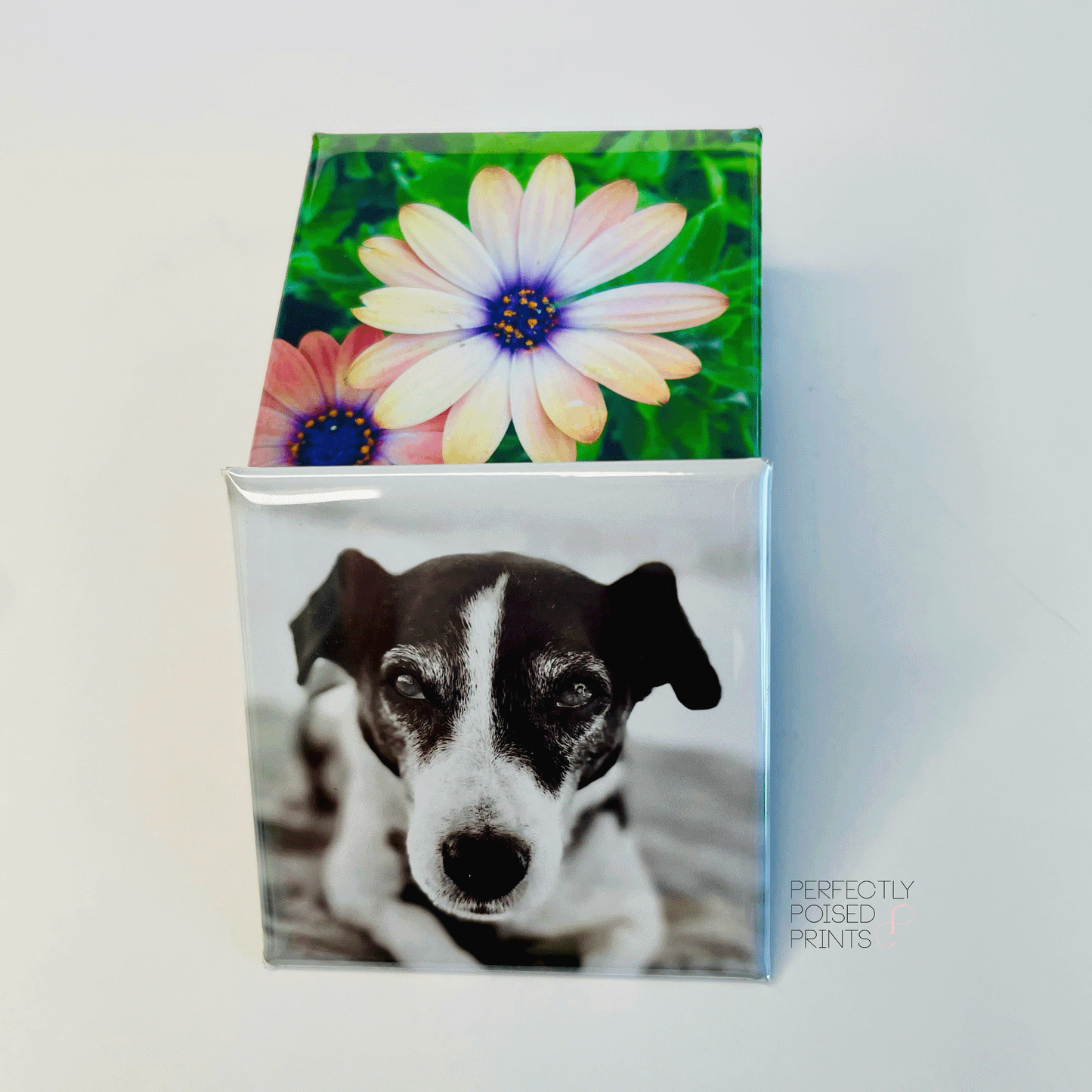Custom Photo Magnets 2"x2" - Set of 9